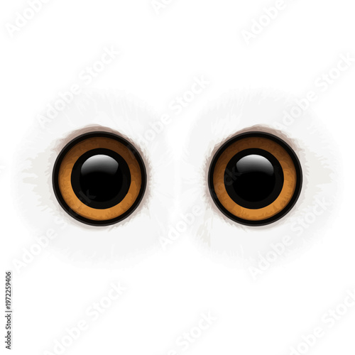 Premium owl eyes stare front view with large circular pupils on white background
