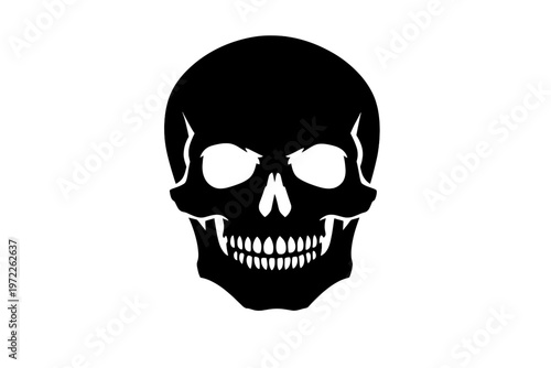Skull silhouette illustration on white background