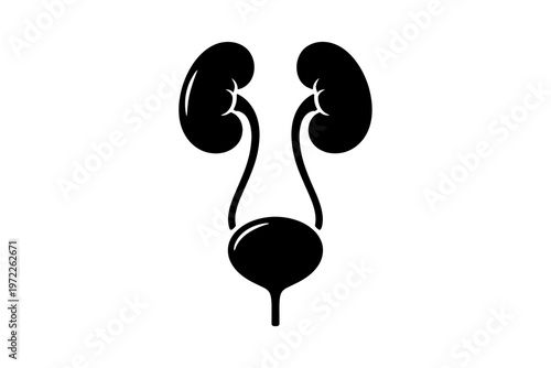 Black and white graphic of human kidneys and bladder anatomy