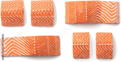 Set of Fresh Salmon Fish Fillets for Cooking, Seafood, and Culinary Graphics