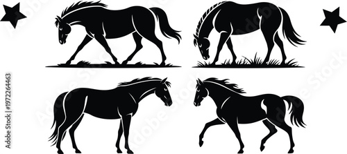 Collection of four black horse silhouettes in different poses on a white background