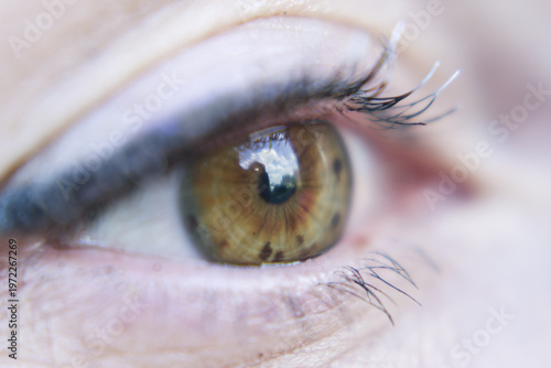 close up of a brown female eye