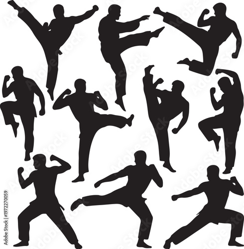Dynamic silhouettes of martial arts techniques in action
