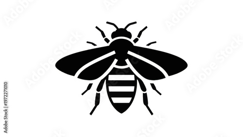Black and White Bee Illustration.