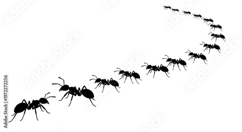 Ants marching in a line, silhouette, teamwork concept