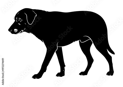 Senior Dog Silhouette - Minimalist Vector Illustration