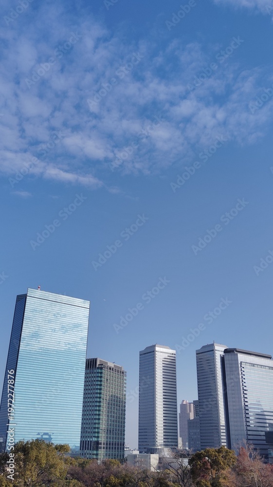 Fototapeta premium 日本の都市の風景 高層ビル群と青空