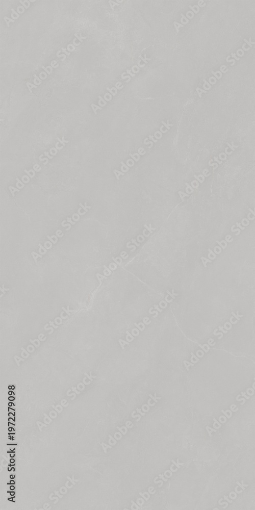 Fototapeta premium Gray textured surface with subtle veining
