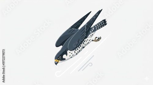 Foto Peregrine Falcon Diving Down Fast Bird Illustration