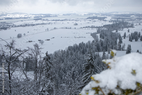 Snow covered landscape with trees and fields under cloudy sky, creating serene winter scene. distant hills and scattered farmhouses add depth to tranquil view