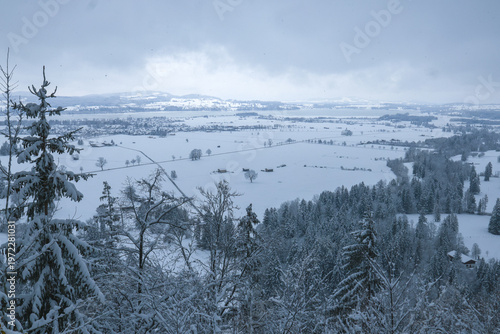 Vast, serene winter landscape stretches across snow covered fields and forests under cloudy sky. scene is tranquil, with snow laden trees in foreground and distant hills fading into horizon