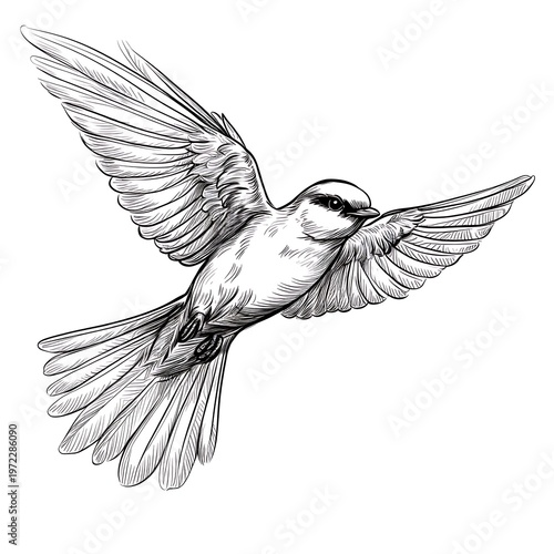 Graceful Bird Flying Cartoon Vector Sketch