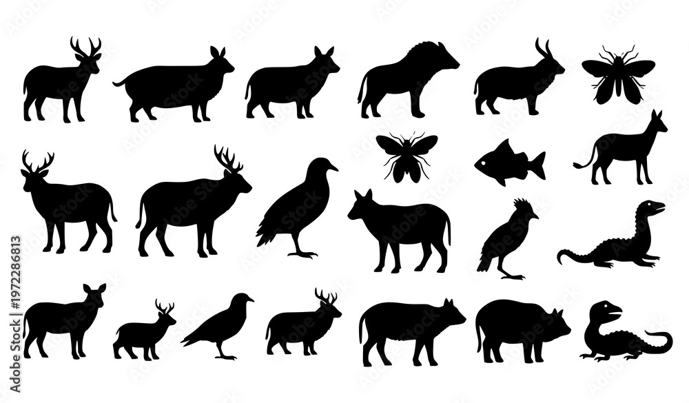 Obraz premium A collection of black animal silhouettes on a white background