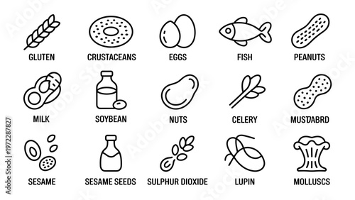 
Food Allergen Warning Line Icon Set  14 Allergens Label Badge Collection in English Outline Style