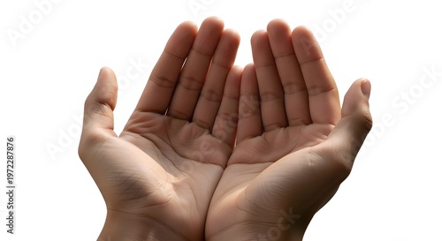 Cupped hands, palms up, human gesture, offering, isolated on white