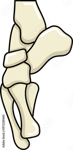 Design Clubfoot Illustration Flat Icon