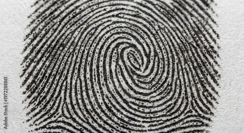 Loop with Bifurcation A loop shape with a bifurcation two ridges