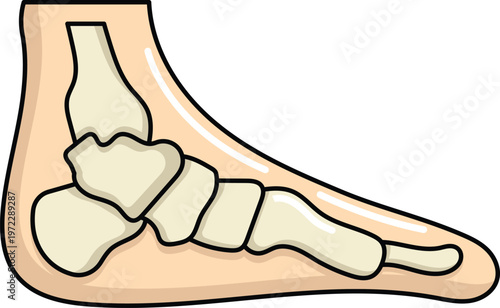 Design Flat-foot Illustration Flat Icon