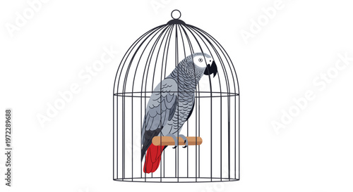 Beautiful large grey parrot with a red tail perched inside a classic black wire birdcage against a clean white background.