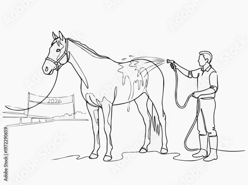 A person is washing the horse in preparation for the race