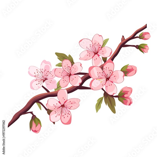 Delicate Cherry Blossom Branch Vector Illustration
