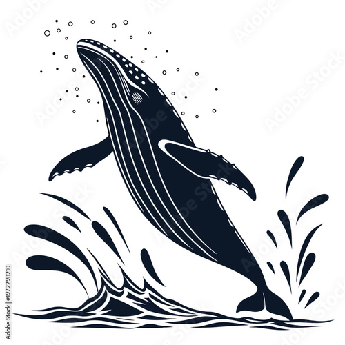 Humpback whale jumping out of water vector illustration, breaching whale silhouette with ocean splashes, nautical marine animal graphic
