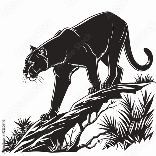 Black panther stalking on a rocky cliff, wild cougar silhouette vector illustration, mountain lion prowling in nature, predatory cat mascot for sports