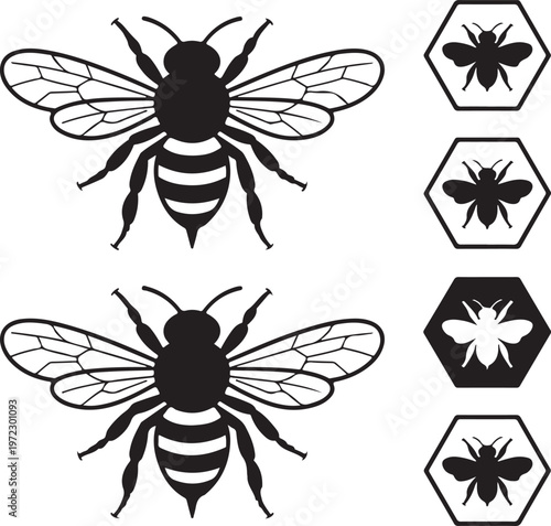 Illustrations of bees and wasps with warning symbols for identification
