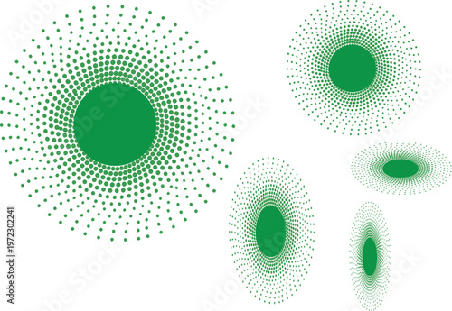 Chlamydomonas reinhardtii cells a microscopic view of green algae
