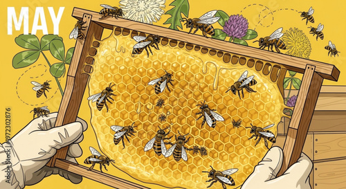 Beekeeper's gloved hands hold honeycomb frame with busy bees honey production apiary beekeeping insects may