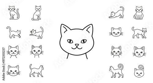 Black and white cat line drawings.