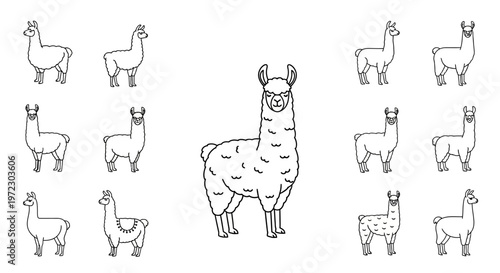 Llama standing with multiple llamas around.