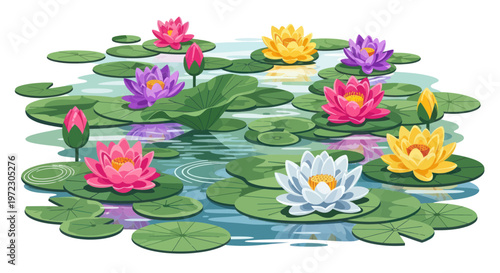 Vibrant Water Lilies Blooming in Pond: Pink, Yellow, Purple, White Flowers