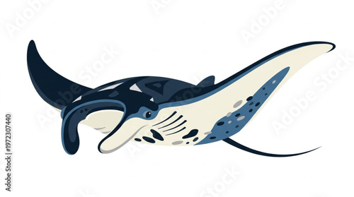 Manta Ray Vector Illustration Isolated on White Background