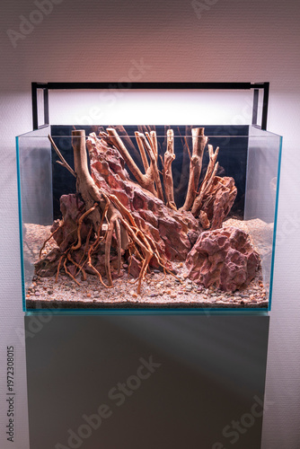 Canyon Roots Aquascape, aquascaping hardscape design