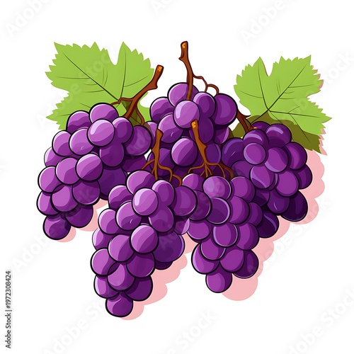 Elegant Grape Vine Vector on White Background