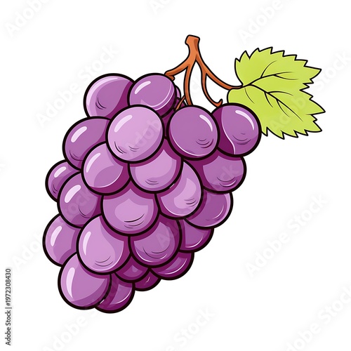 Grape Sketch Vector Drawing on White