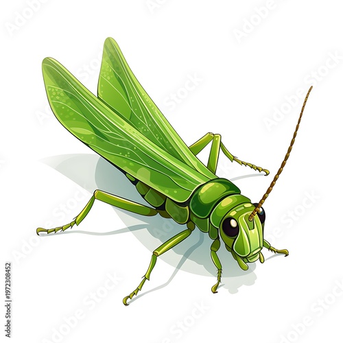Detailed Grasshopper Vector Illustration on White Background