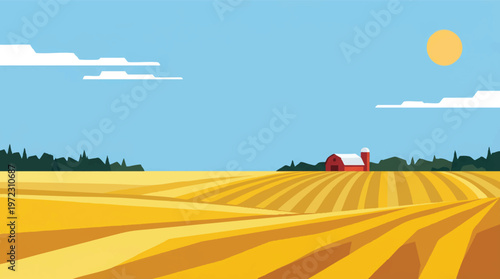 Golden wheat field under a bright summer sky with a red barn in the distance Vector, illustration