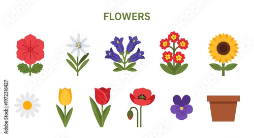 Collection of Various Colorful Flowers and a Pot.