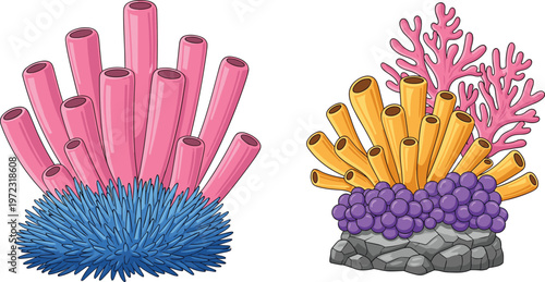 Illustration of Colorful Coral Reef with Vibrant Pink, Orange, and Purple Coral Structures, Featuring Sea Plants and Rock Base for Marine and Oceanic Designs