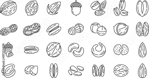 Nut and Seed Outline Icon Set Vector Collection with Almond Walnut Peanut and Organic Food Elements Isolated on Transparent Background