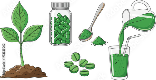 Green plant sprout, bottle of capsules, spoon of powder, and a glass of green smoothie.