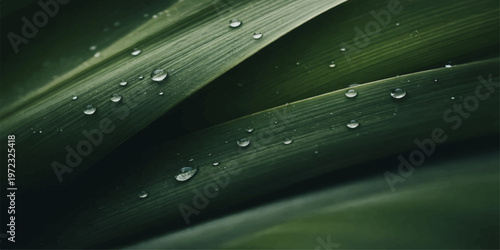 A macro close-up of fresh dew drops on a vibrant green leaf captures the pure essence of nature and spring rain in a lush garden environment