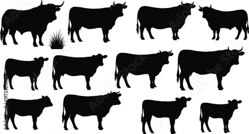 Collection of twelve cow silhouettes with varied shapes and poses, showcasing livestock, agriculture, and farm animal designs for illustration and creative artwor
