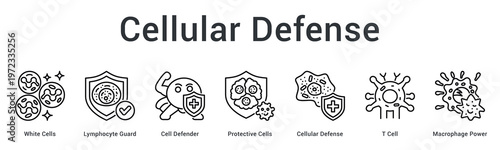 Cellular defense banner web icon showcases white blood cells and protective mechanisms fighting pathogens at microscopic level.