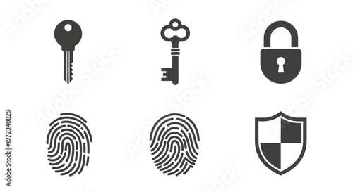 Security and Access Icons Set with Keys Locks Fingerprints and Shield.