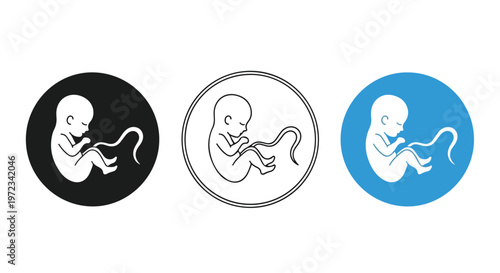 Three stylized icons representing a human fetus with umbilical cord in different colored circles: black, white outline