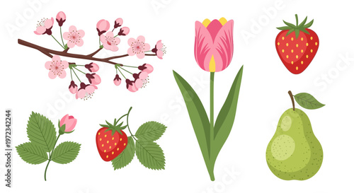An illustration shows a collection of flowers and fruits including a pink tulip and pear.