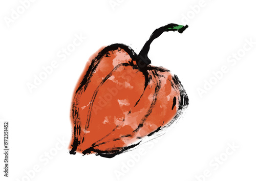 ほおずき和風筆イラスト